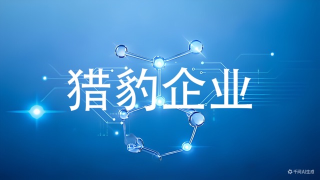 猎豹企业(咨询服务)